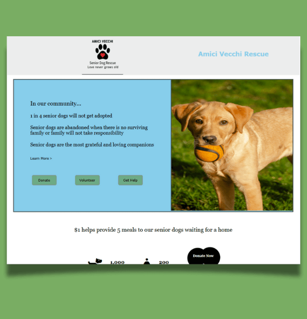 A photo of a laptop webpage design.