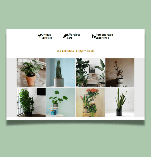 A webpage design built for desktop screens.