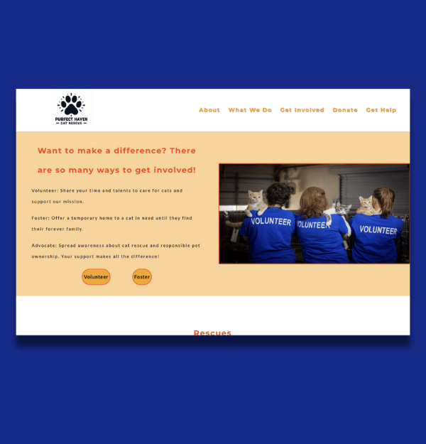 A webpage design built for desktop screens.