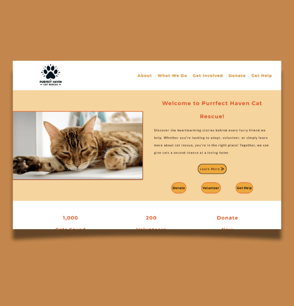 A webpage design built for desktop screens.