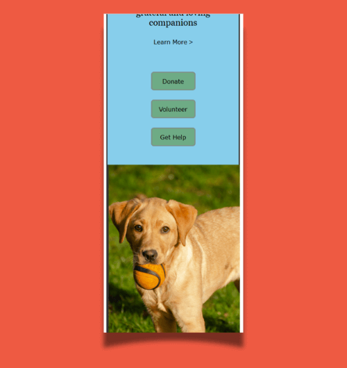 A mobile design of a webpage.