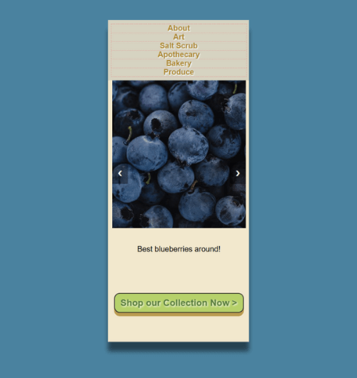 A webpage design built for mobile screens.