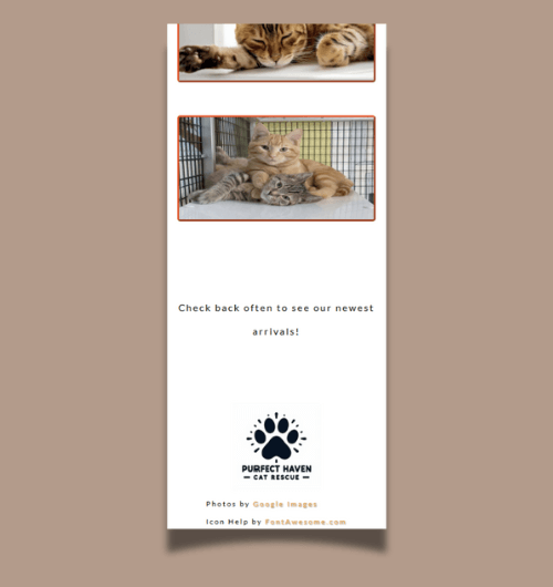 A webpage design built for mobile screens.