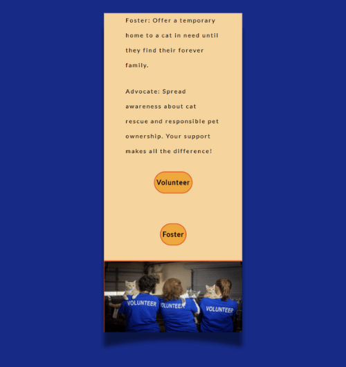 A webpage design built for mobile screens.
