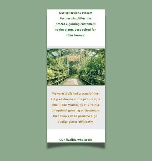 A webpage design built for mobile screens.