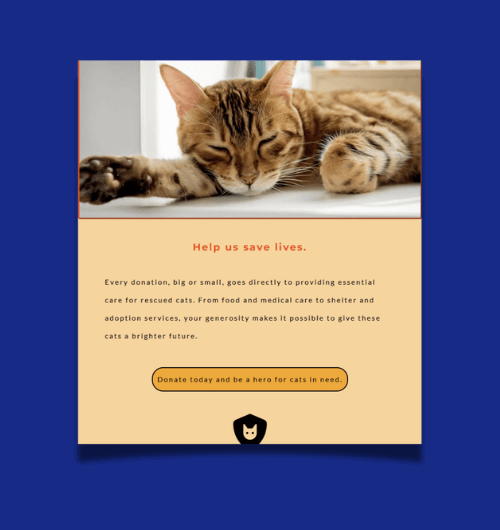 A webpage design built for tablet screens.