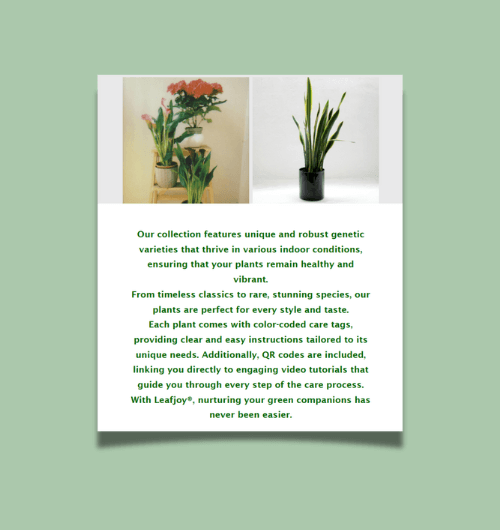 A webpage design built for tablet screens.