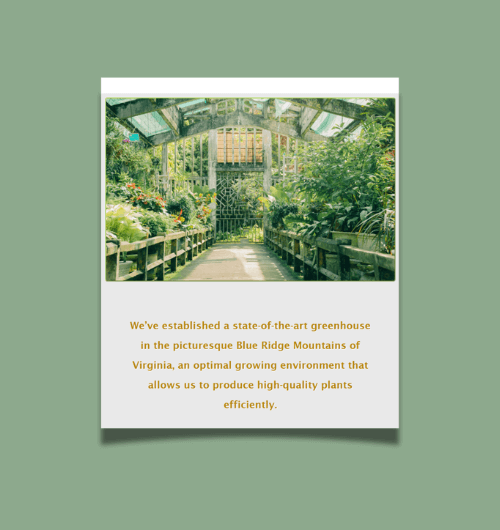A webpage design built for tablet screens.