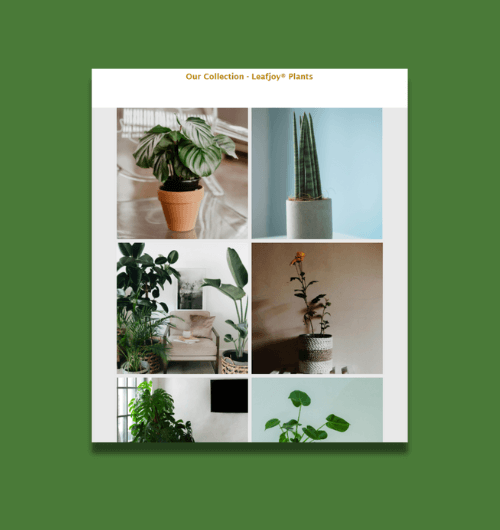A webpage design built for tablet screens.